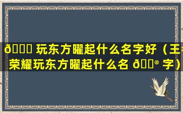 🐝 玩东方曜起什么名字好（王者荣耀玩东方曜起什么名 💮 字）